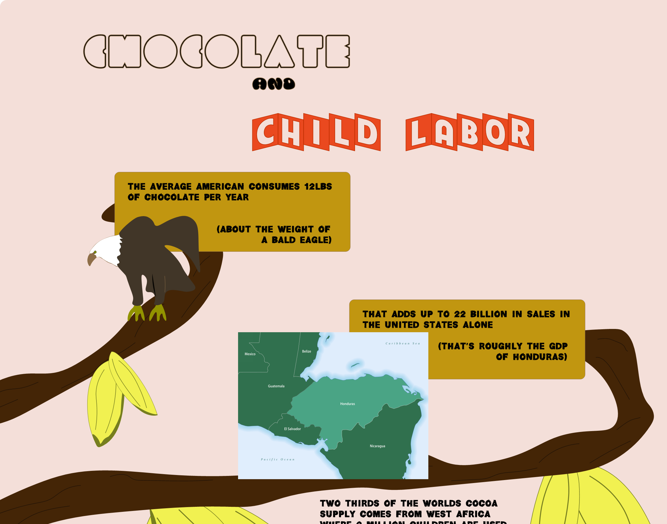 Chocolate and Slave Labor Infographic